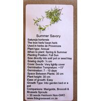 6 Degrees East Heirloom Herb Seeds - Summer Savory 